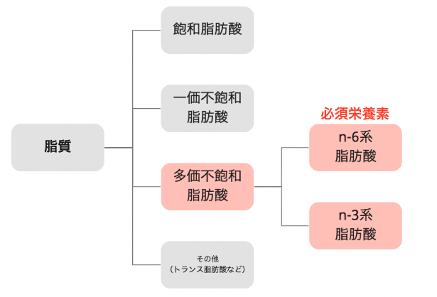 鮭 サーモンは種類によって脂質の量が違う という話 つよめし